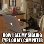 Cat ? | HOW I SEE MY SIBLING TYPE ON MY COMPUTER | image tagged in gifs,cat | made w/ Imgflip video-to-gif maker