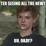Newt's Reaction to Maze Runner Meme's | NEWT AFTER SEEING ALL THE NEWT MEME'S:; UH, OKAY? | image tagged in maze runner newt confused | made w/ Imgflip meme maker