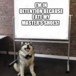 In the Dog House? | I'M IN DETENTION BECAUSE I ATE MY MASTER'S SHOES! HAVE A NICE DAY! | image tagged in dog white board,detention,dog eats shoes,uh oh,timeout | made w/ Imgflip meme maker