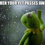 When your pet passes away | WHEN YOUR PET PASSES AWAY | image tagged in sad kermit,pets,kermit the frog,sad,death | made w/ Imgflip meme maker