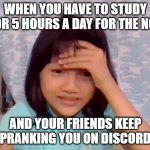 My first meme! (Also this is not me) | WHEN YOU HAVE TO STUDY FOR 5 HOURS A DAY FOR THE NCE; AND YOUR FRIENDS KEEP PRANKING YOU ON DISCORD | image tagged in sophia stressed | made w/ Imgflip meme maker