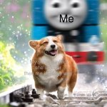 No you not | Me; My sister saying she’s better then me in every way | image tagged in dog about to get hit by thomas the train | made w/ Imgflip meme maker