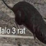 Halo 3 rat meme