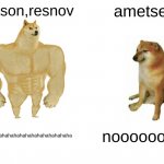 resnov vs ametsel