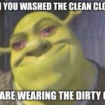 Crying shrek | WHEN YOU WASHED THE CLEAN CLOTHES AND ARE WEARING THE DIRTY ONES | image tagged in crying shrek,funny memes | made w/ Imgflip meme maker