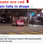 Uhh | Roses are red 🌹; Rain falls in drops 🌧 | image tagged in empty self-driving car,uhh,artificial intelligence,uh oh,cops,cars | made w/ Imgflip meme maker