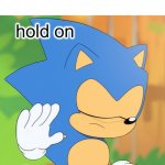 Sonic Hold on template