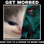 Get morbed meme