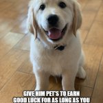 stop scrolling god has arrived | YOU HAVE BEEN VISITED BY THE GOOD BOY; GIVE HIM PET'S TO EARN GOOD LUCK FOR AS LONG AS YOU LIVE, THIS IS A ONE IN A MILLION ODDS PET HIM WHILES HE'S HERE | image tagged in marvel the golden retriever | made w/ Imgflip meme maker