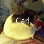 Carl meme