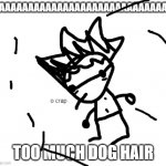 o crap declan | AAAAAAAAAAAAAAAAAAAAAAAAAAAAAAA; TOO MUCH DOG HAIR | image tagged in o crap declan | made w/ Imgflip meme maker