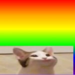 90s rainbow with a low effort cat