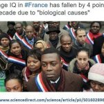 Average IQ in France has fallen