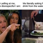 Memes for Students | My teacher yelling at me, saying how disrespectful I am: Me literally asking for a drink from the water fountain: | image tagged in memes,woman yelling at cat | made w/ Imgflip meme maker