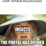 A Wizard Is Never Late | ME: *OPENS CAR DOOR*; INSECTS; THE PORTAL HAS OPENED | image tagged in a wizard is never late | made w/ Imgflip meme maker