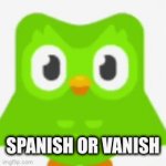 Duo | SPANISH OR VANISH | image tagged in gifs,duolingo | made w/ Imgflip video-to-gif maker