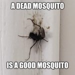 Dead mosquito | A DEAD MOSQUITO; IS A GOOD MOSQUITO | image tagged in dead mosquito | made w/ Imgflip meme maker