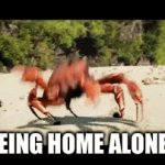 Crab party ? | BEING HOME ALONE | image tagged in gifs,animals | made w/ Imgflip video-to-gif maker