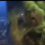 Grinch GIF Template