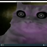 Purple cat meme