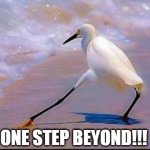Razzle Dazzle Bird | ONE STEP BEYOND!!! | image tagged in razzle dazzle bird | made w/ Imgflip meme maker