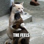 cat and dog | THE FEELS | image tagged in cat and dog | made w/ Imgflip meme maker
