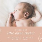 Meet Ellie anne