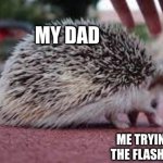 Screaming hedgehog | MY DAD; ME TRYING TO HOLD THE FLASHLIGHT STILL | image tagged in screaming hedgehog | made w/ Imgflip meme maker