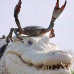 Crab on Crocodile | I'M KING OF THE WORLD!!!! | image tagged in crab on crocodile | made w/ Imgflip meme maker
