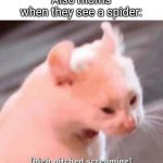 Smacks with flip-flop | Moms: I love nature, #inspired
Also moms when they see a spider: | image tagged in memes,funny,funny memes,oh wow are you actually reading these tags,cats,funny cats | made w/ Imgflip meme maker