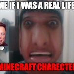 Ha | ME IF I WAS A REAL LIFE; BRUH? MINECRAFT CHARECTER | image tagged in the meme lord | made w/ Imgflip meme maker