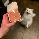 cat birthday candle