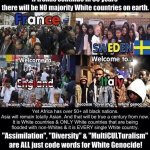 Multiculturalism is White Genocide