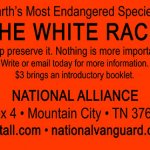 The White race, the most endangered species
