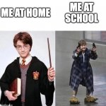 Why this true | ME AT SCHOOL; ME AT HOME | image tagged in harry crazy harry | made w/ Imgflip meme maker