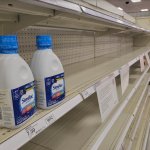 Baby Formula Shortage