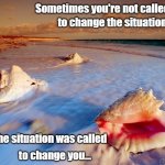 Ocean shells let go | Sometimes you're not called; to change the situation. to change you... The situation was called | image tagged in ocean shells let go | made w/ Imgflip meme maker