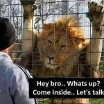 Lion hey bro meme