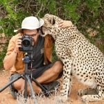 Cheetah director