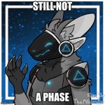 :) | STILL NOT; A PHASE | image tagged in kendle_the_protogen | made w/ Imgflip meme maker