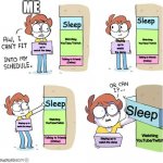 y e a h | Sleep Sleep Watching YouTube/Twitch Talking to friends
(Online) Watching YouTube/Twitch Talking to friends
(Online) Sleep Watching YouTube/T | image tagged in schedule meme,dream smp,twitch,youtube | made w/ Imgflip meme maker