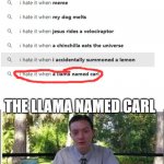 depression for llama | THE LLAMA NAMED CARL | image tagged in my dissapointment is immeasurable and my day is ruined,funny | made w/ Imgflip meme maker