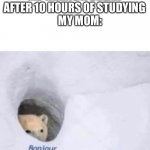 Relatable | ME TAKING A BREAK AFTER 10 HOURS OF STUDYING
     MY MOM: | image tagged in bonjour,relatable | made w/ Imgflip meme maker