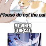 i tried to the cat... | ME WHEN I THE CAT: | image tagged in please do not the cat | made w/ Imgflip meme maker