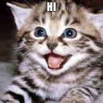 Uber Cute Cat | HI | image tagged in uber cute cat | made w/ Imgflip meme maker