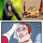 crab | ME | image tagged in memes,two buttons | made w/ Imgflip meme maker