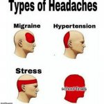 Types of Headaches meme | school finals | image tagged in types of headaches meme | made w/ Imgflip meme maker