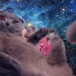 space cat