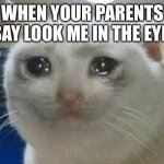 crying cat | WHEN YOUR PARENTS SAY LOOK ME IN THE EYE | image tagged in crying cat | made w/ Imgflip meme maker