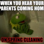Well, get ready for a spankin' | WHEN YOU HEAR YOUR PARENTS COMING HOME; ON SPRING CLEANING | image tagged in meme,kermit,kermit the frog,hiding,parents | made w/ Imgflip meme maker
